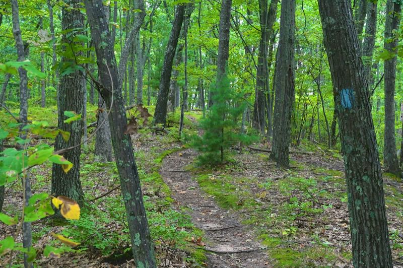 North Country Trail (Big M)